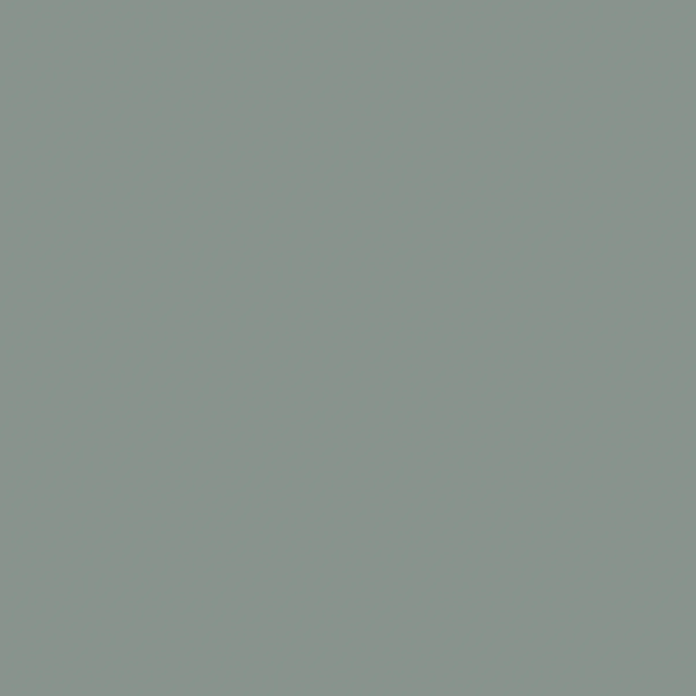 \\sw-ag\AllgeierSpacewall\Bilder Onlineshop\1 Lamellenw&auml;nde\Pine_Green\16-254080-810_10200493_Uni_Pine_Green.tif
